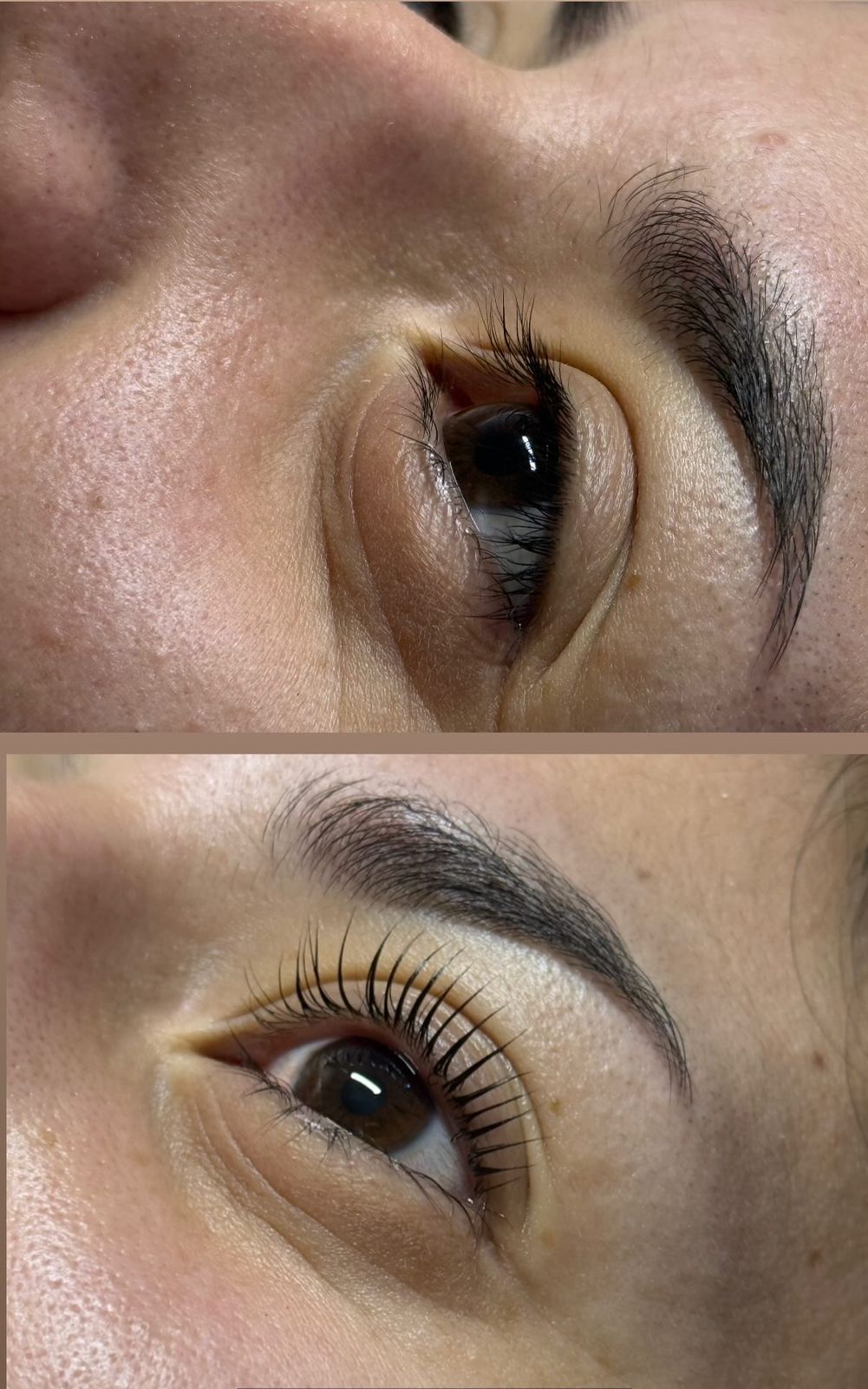 WhatsApp Image 2026-03-12 at 5.50.07 PM