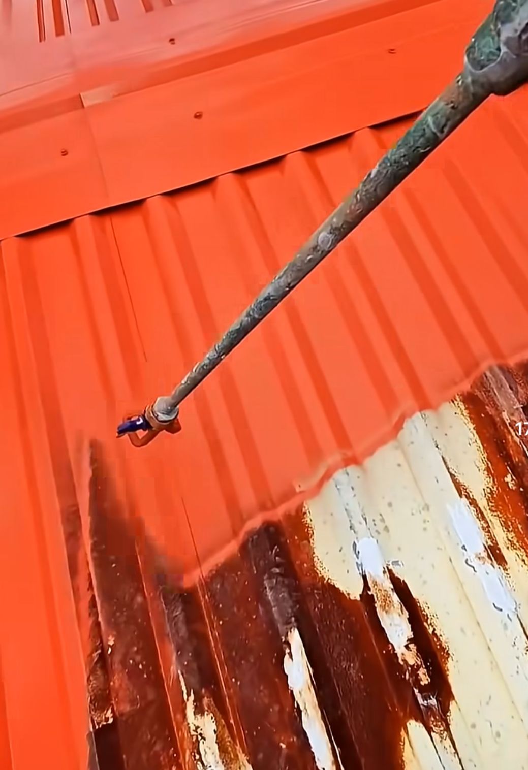 WhatsApp Image 2026-03-16 at 12.16.30 PM (1)